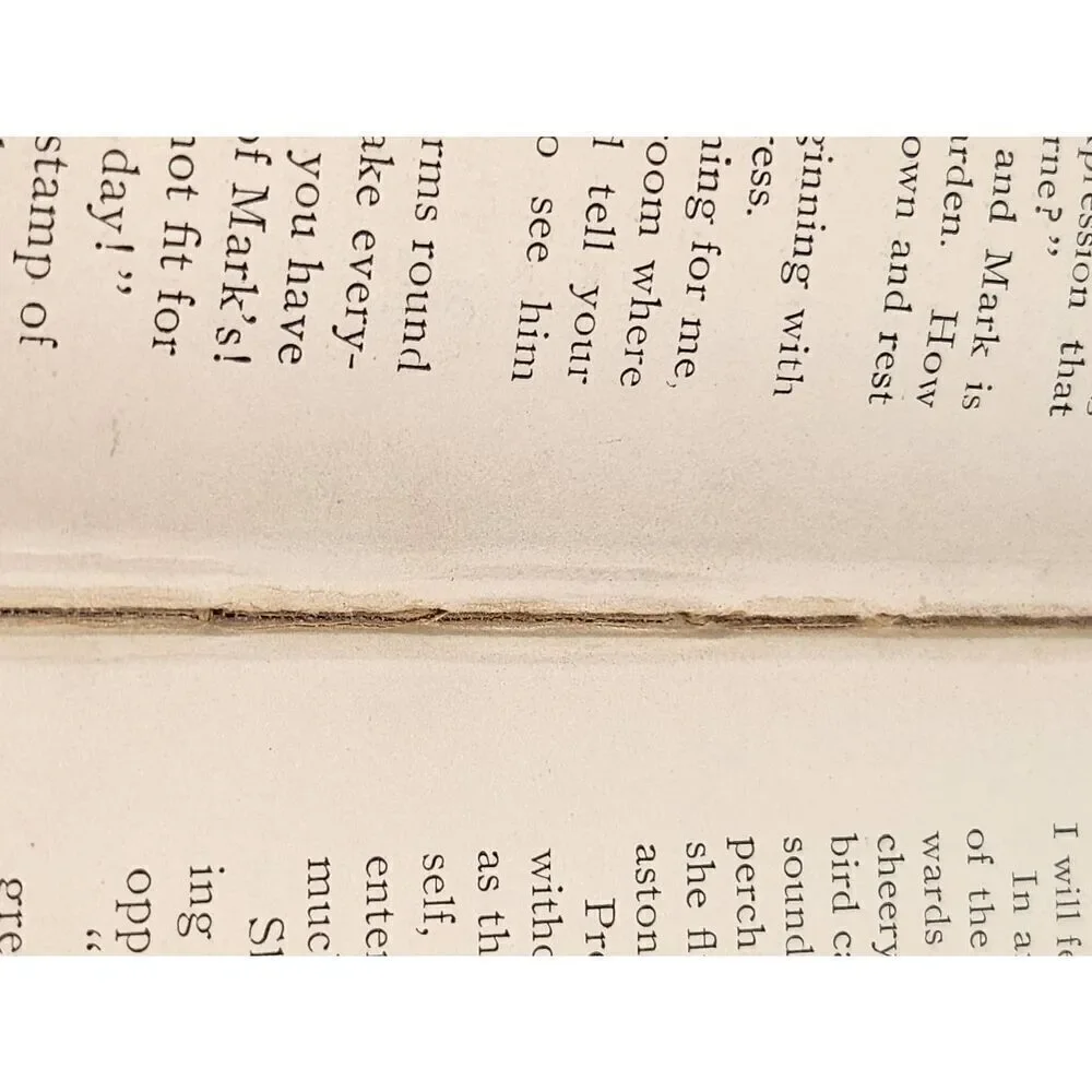 Vintage 1898 Miss Erin hardcover book #A88